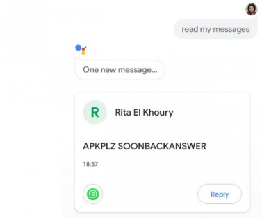 Google Assistant  read app info