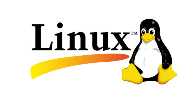 Linux 6.1